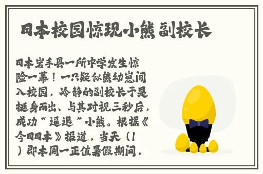 铿铿锵锵免费观看入口